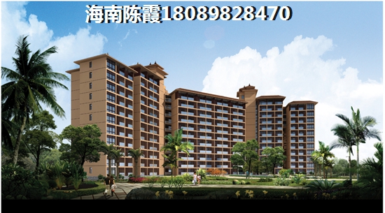 2022藏龙福地生纸空间分析
