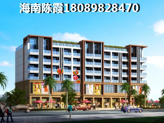 绿城桃源小镇房价消息（海南澄迈房价涨的这么快）