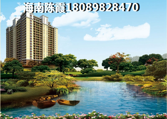 乐东九所镇买房怎么样
