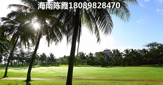海南澄迈绿城·桃源小镇房价仍然涨的这么快？