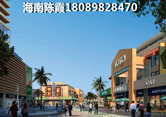 海南哪里的房子纸得touzi购买