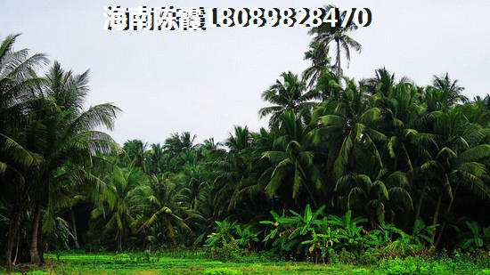 澄迈县哪个区域房价升值潜力大？金碧海岸对比信基颐和湾哪个房价会涨？