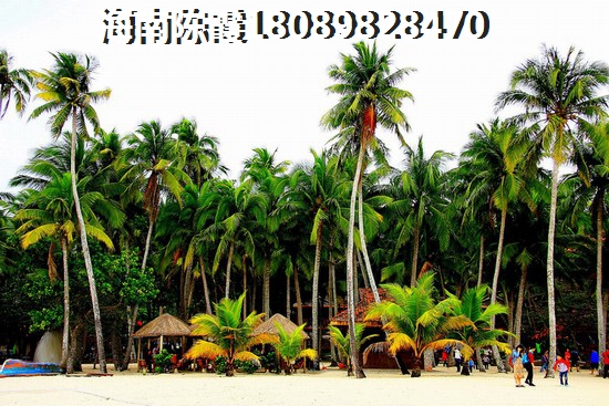 海鹏比邻湾涨价因素曝光！