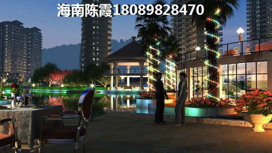 候鸟老人在海南省买房政策